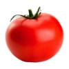 Tomatoes (5x6)